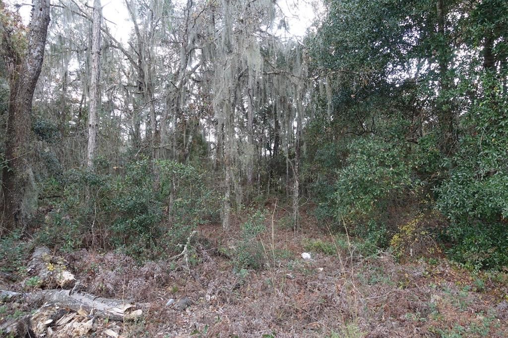 Recently Sold: $12,000 (1.25 acres)