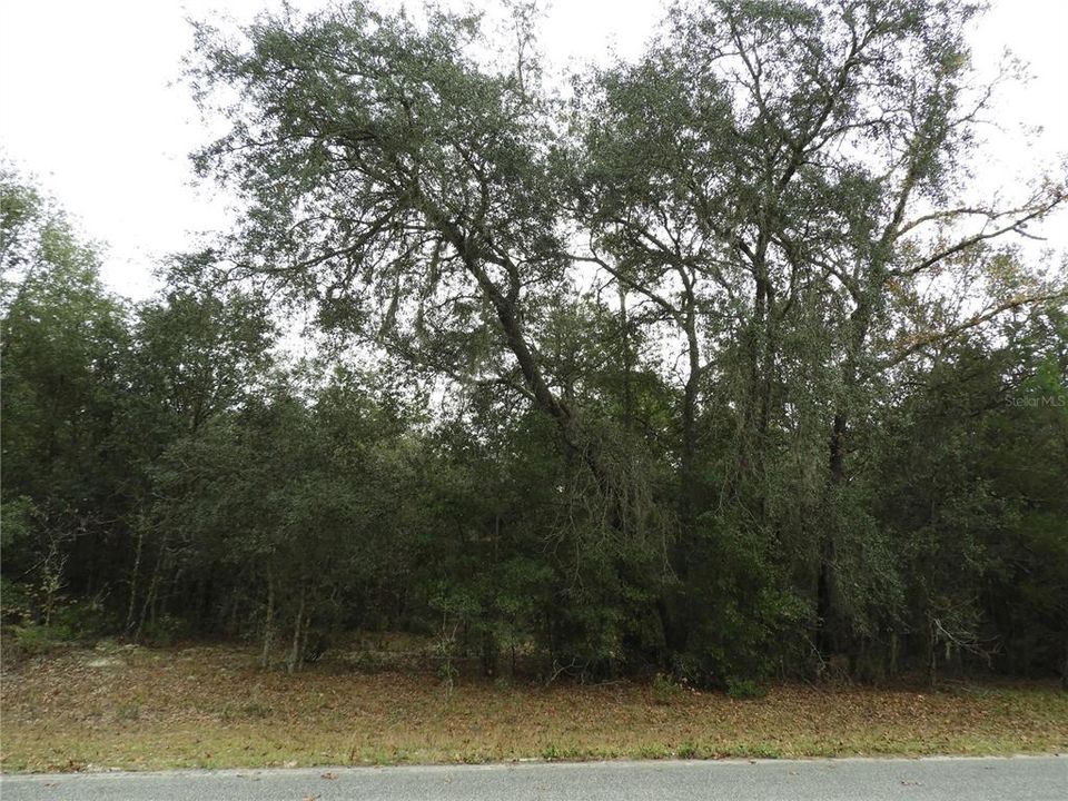 Recently Sold: $12,900 (0.70 acres)