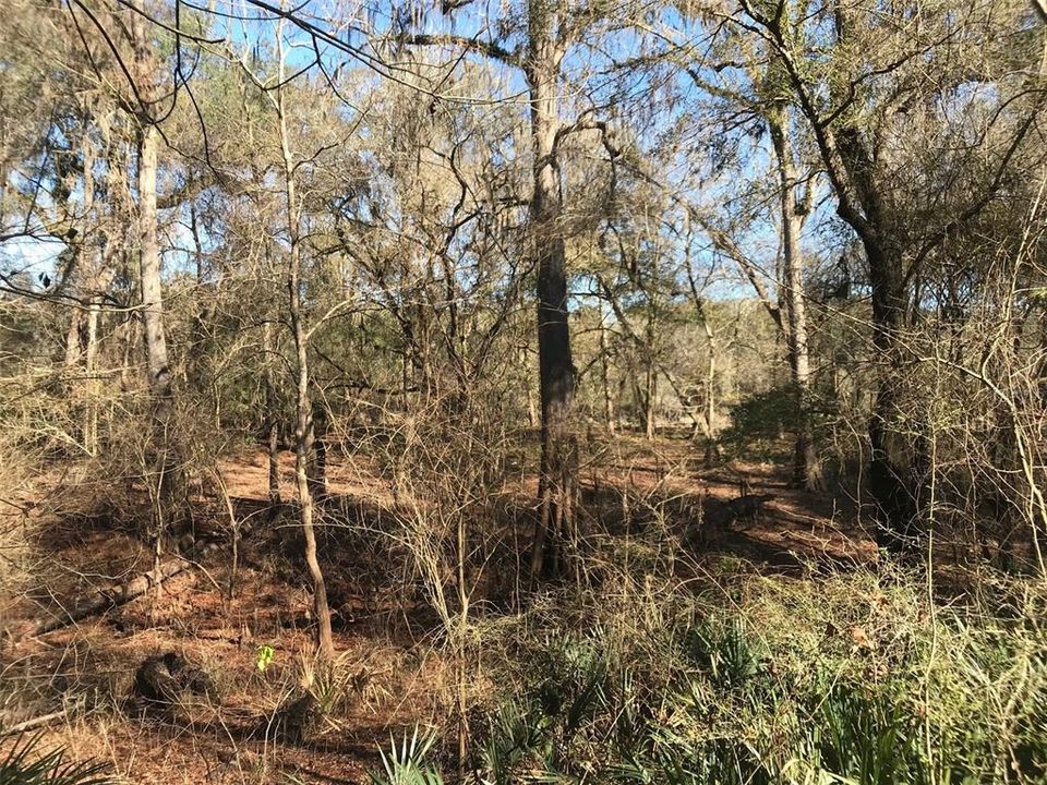 Recently Sold: $84,900 (1.73 acres)