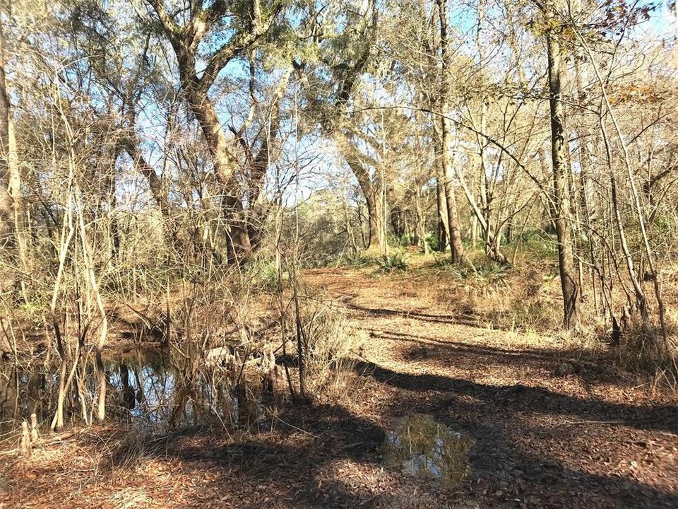 Recently Sold: $84,900 (1.73 acres)