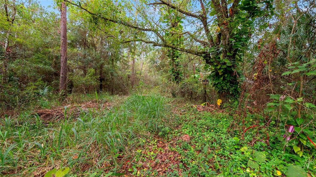 Recently Sold: $19,000 (0.23 acres)