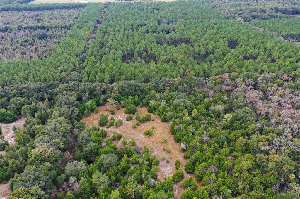 Недавно продано: $125,000 (10.36 acres)