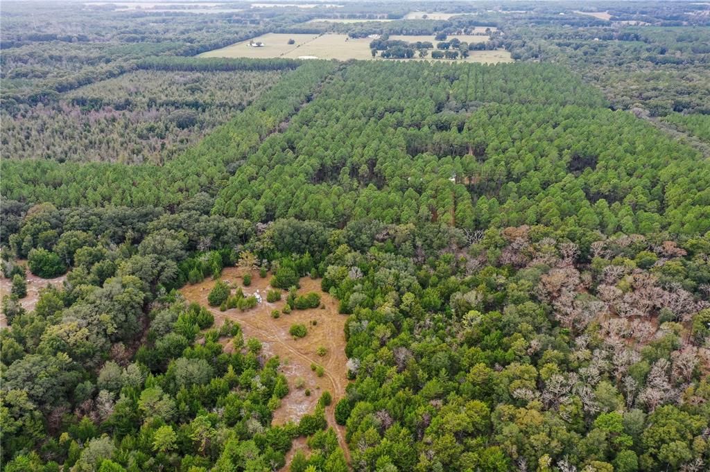 Недавно продано: $125,000 (10.36 acres)