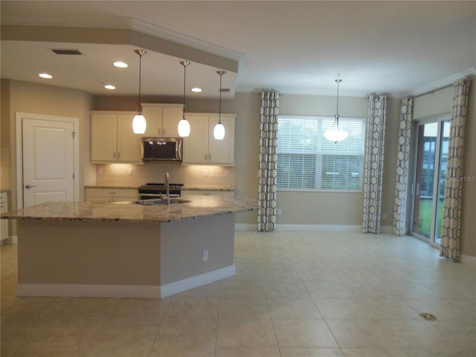 Family room, kitchen and breakfast area