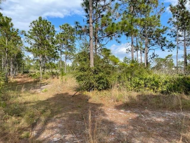 Recently Sold: $65,000 (1.26 acres)