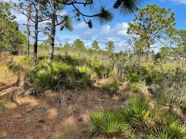 Recently Sold: $65,000 (1.26 acres)