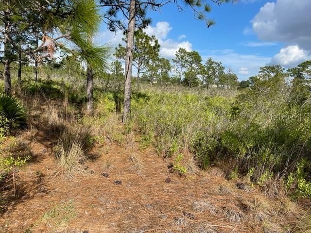 Recently Sold: $65,000 (1.26 acres)