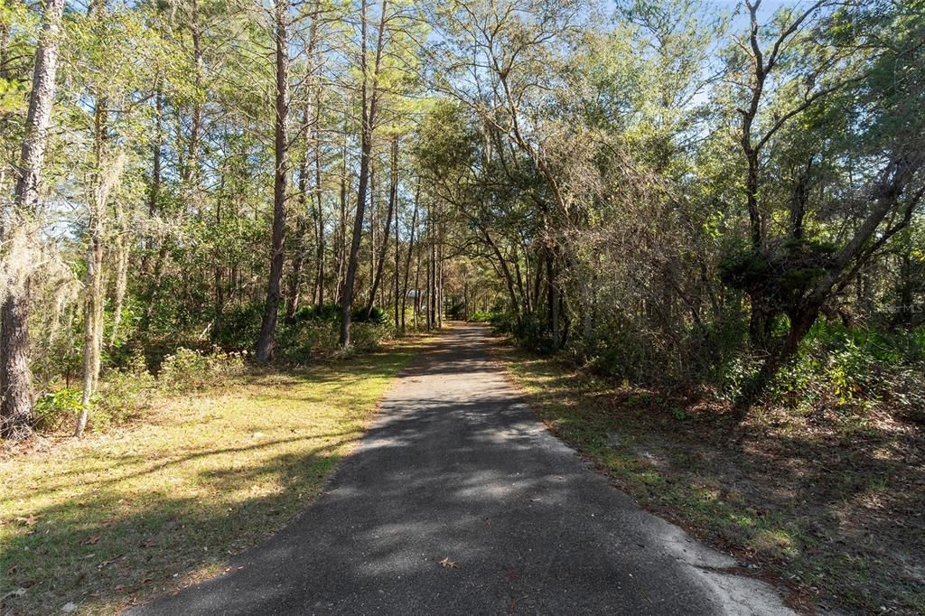 Rear entrance to property