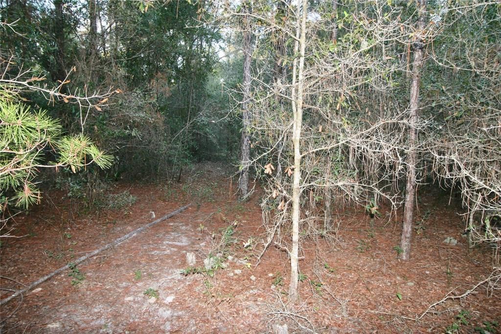 Recently Sold: $84,900 (10.00 acres)