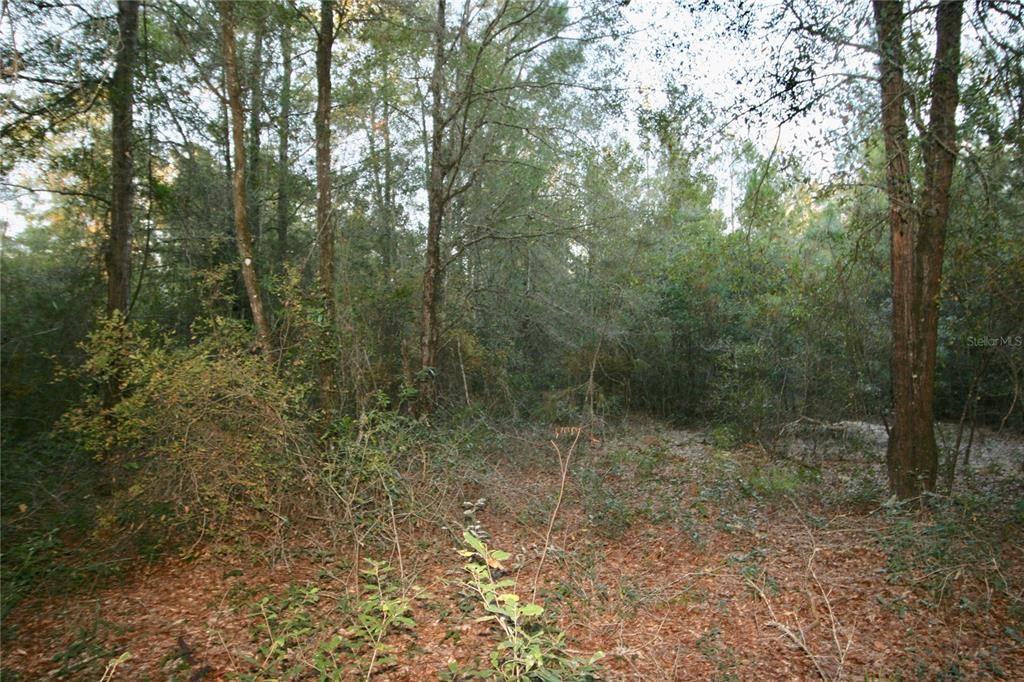 Recently Sold: $84,900 (10.00 acres)