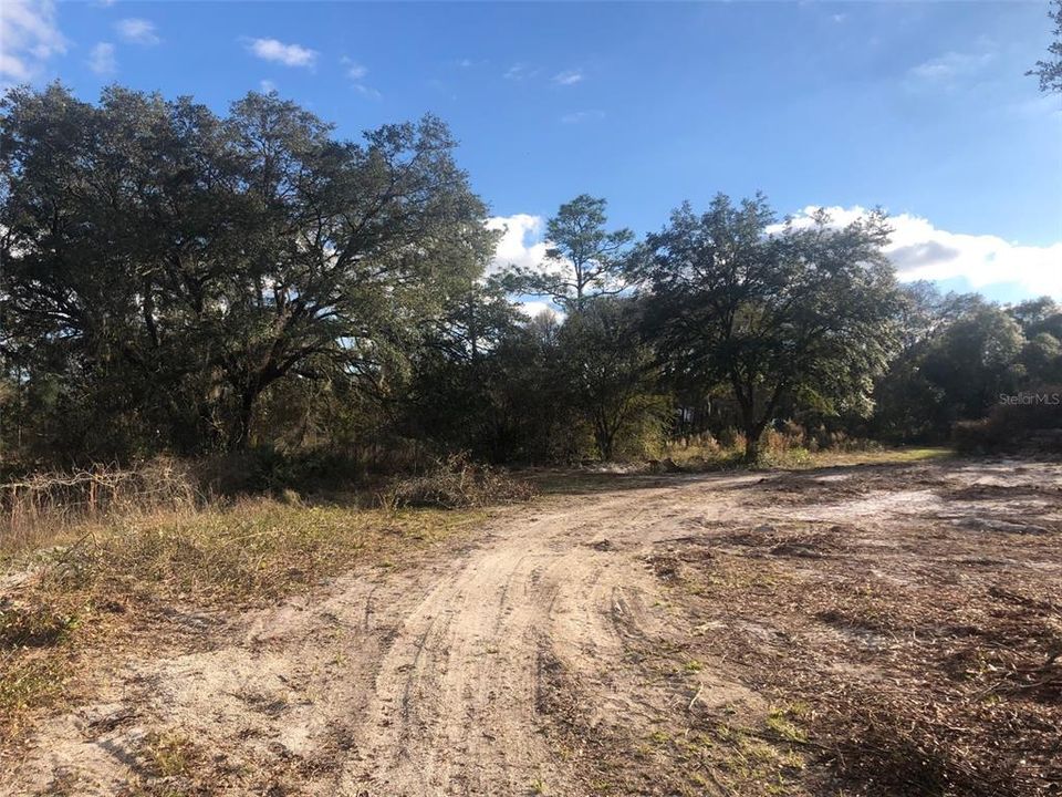 Recently Sold: $37,000 (1.25 acres)