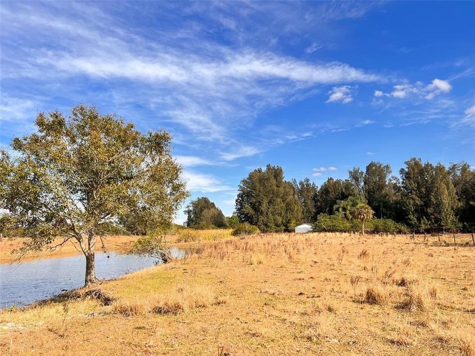 Recently Sold: $189,900 (7.29 acres)