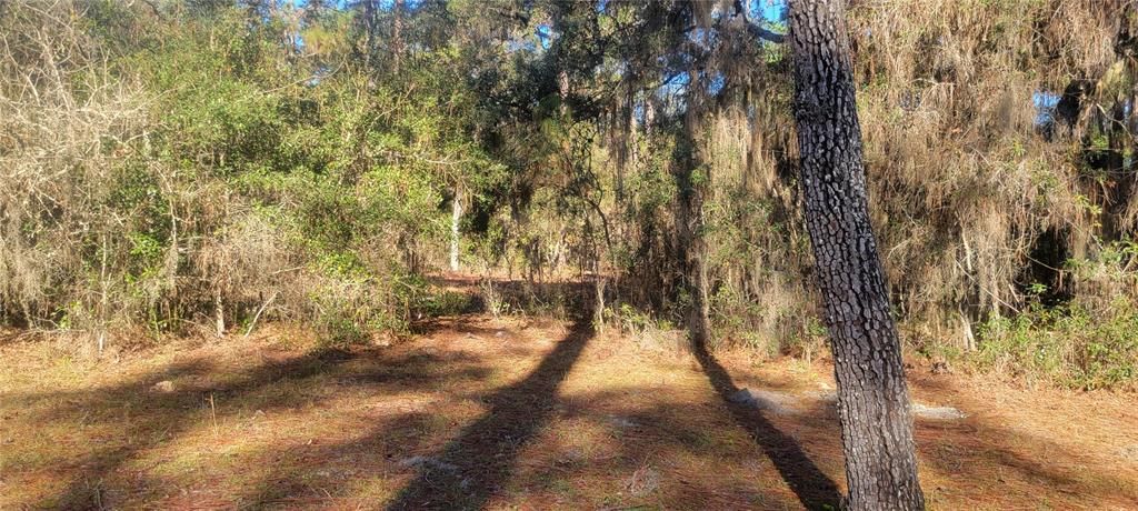 Almost an acre. Private!