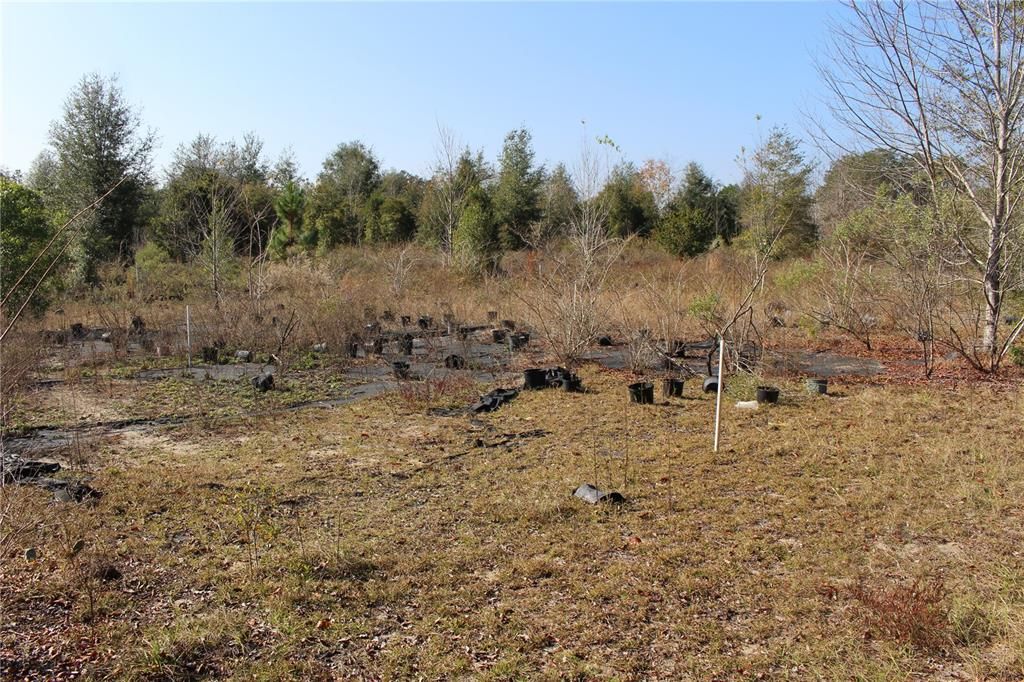 Recently Sold: $300,000 (20.09 acres)