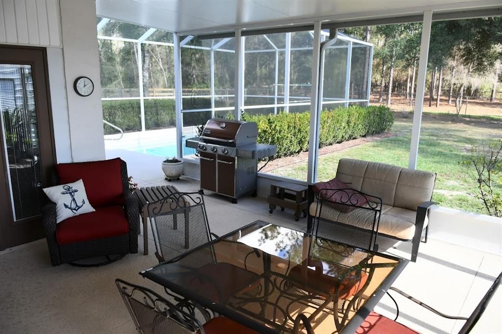 Screen Porch and Pool