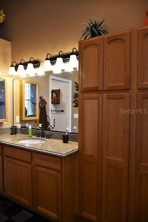 Nice Cabinets in the Double Owner's Bath