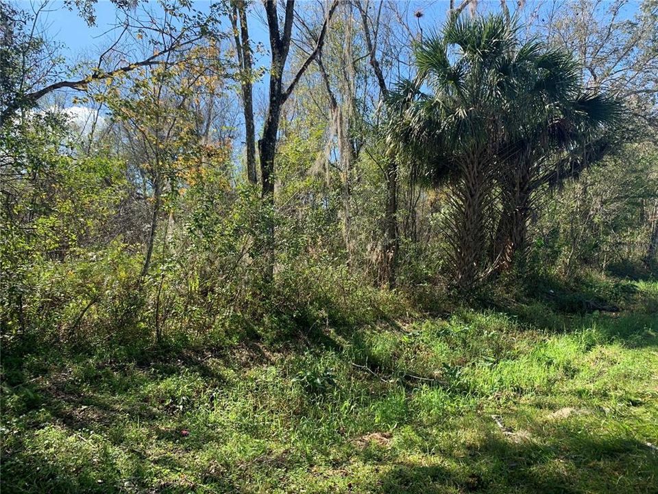 Recently Sold: $35,000 (2.78 acres)