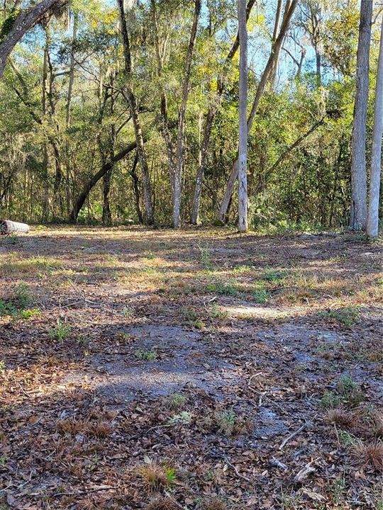 Recently Sold: $74,900 (6.72 acres)
