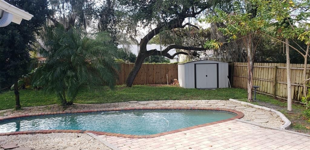 Freeform pool in fenced backyard with shed.