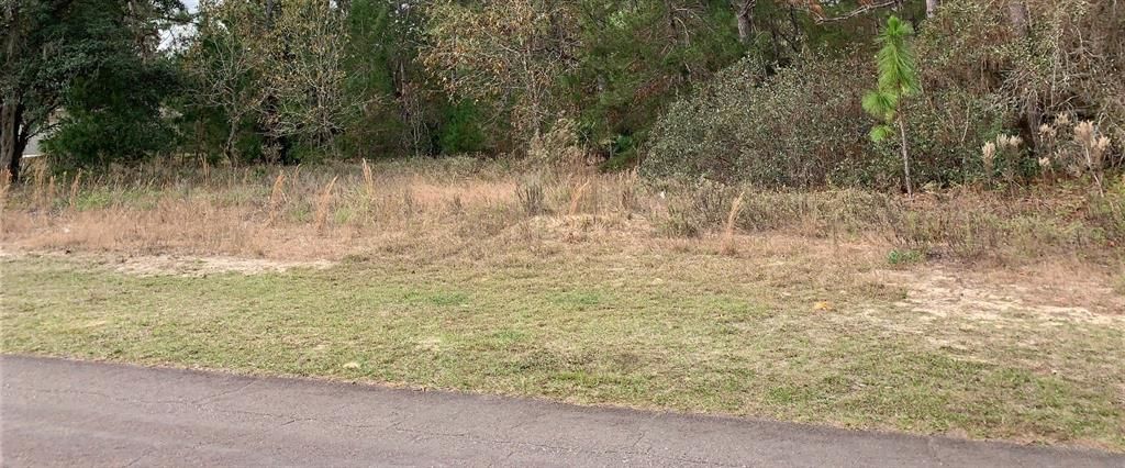 Recently Sold: $45,000 (1.01 acres)