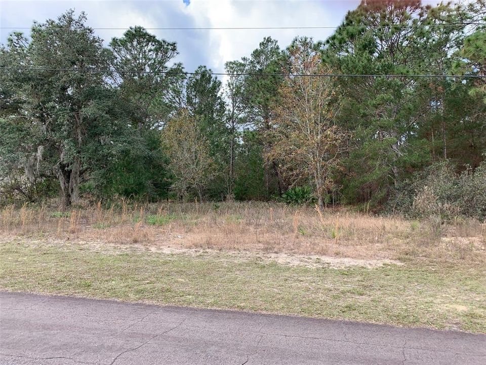 Recently Sold: $45,000 (1.01 acres)