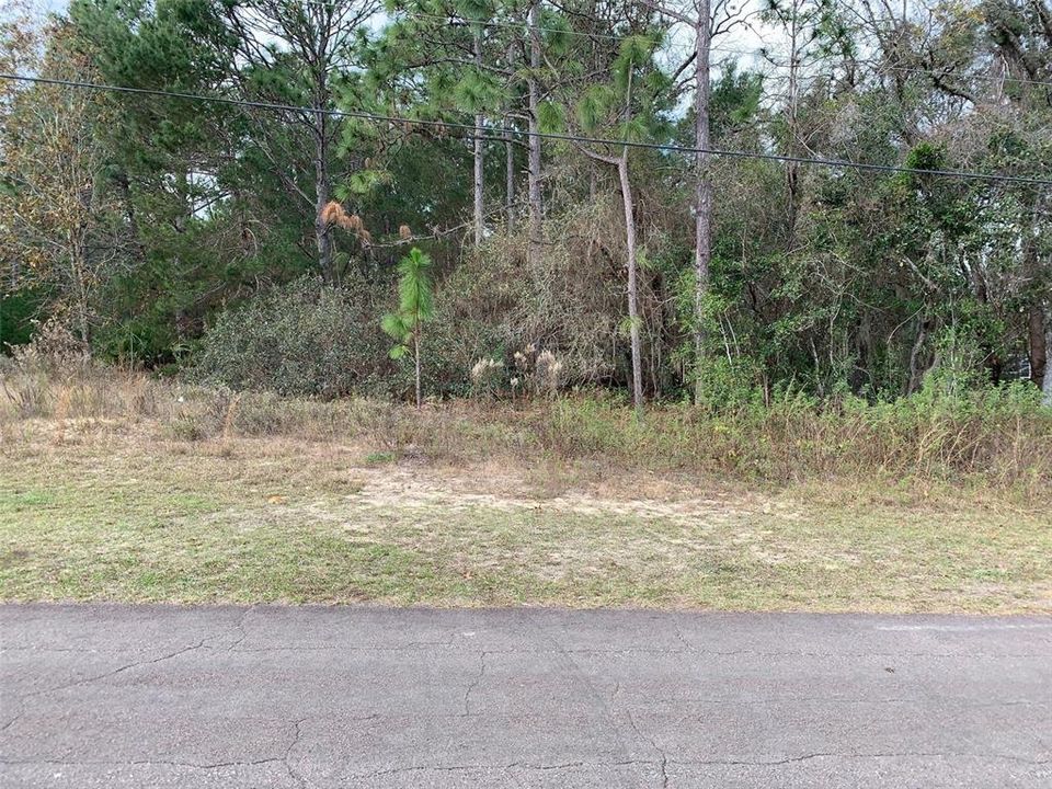 Recently Sold: $45,000 (1.01 acres)