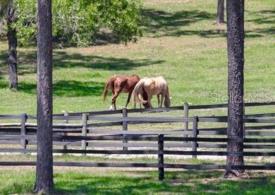 Vendido Recientemente: $45,000 (1.01 acres)