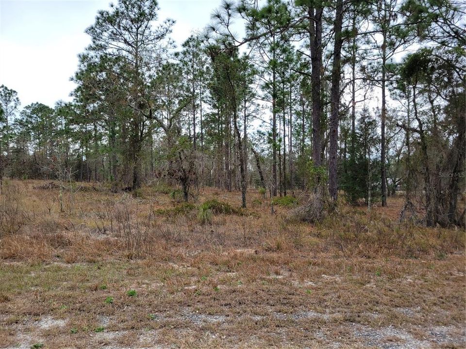 Recently Sold: $30,000 (2.00 acres)