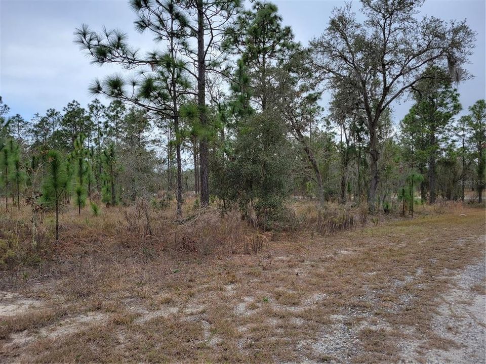 Recently Sold: $30,000 (2.00 acres)