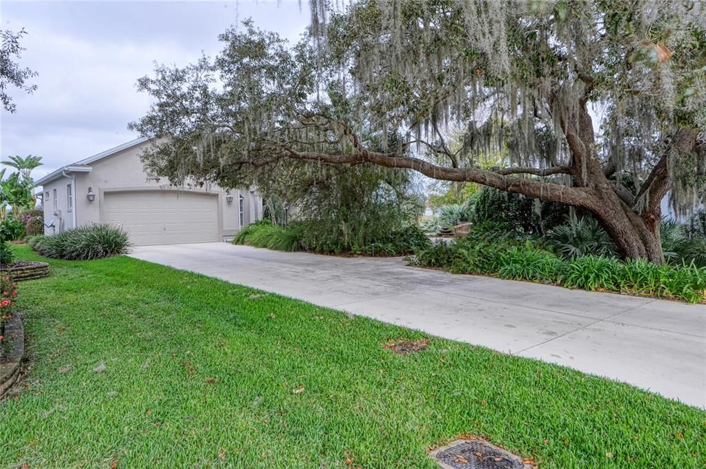 Extended Driveway