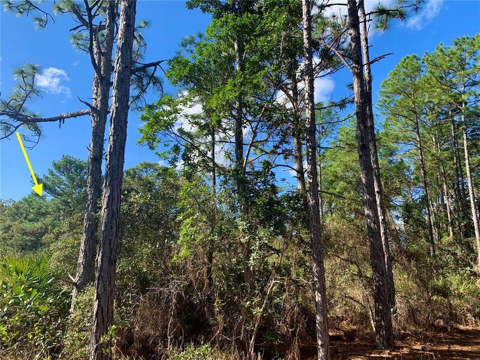 looking from side view at property