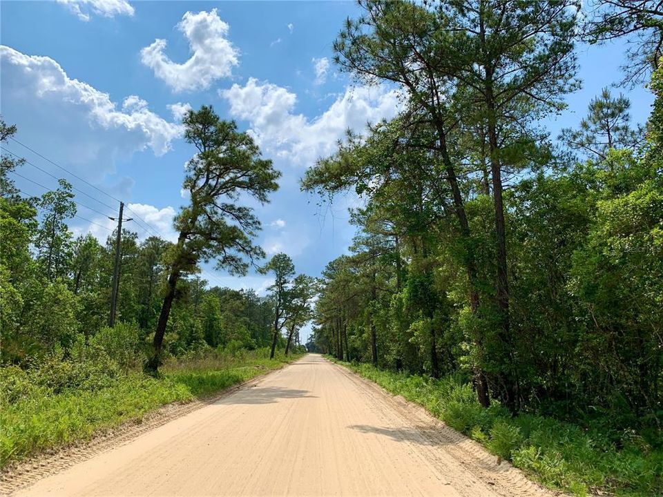 Maggie Jones road leading to gate to access Lake Norris