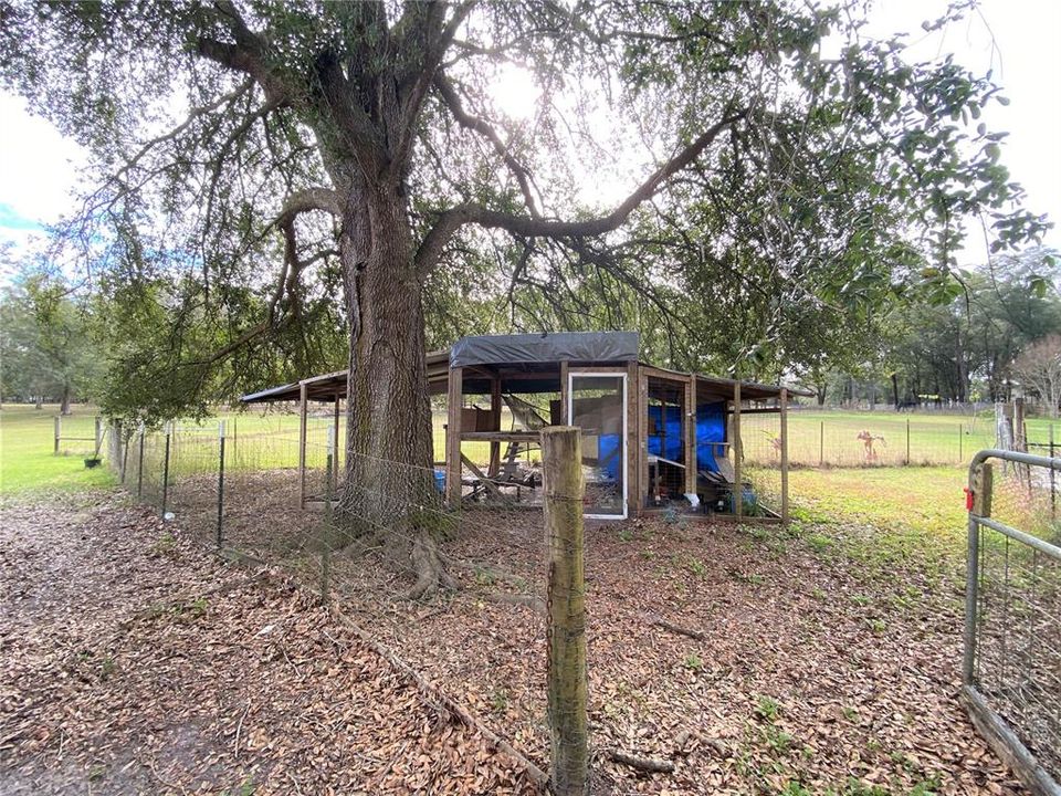 Chicken coop with fence