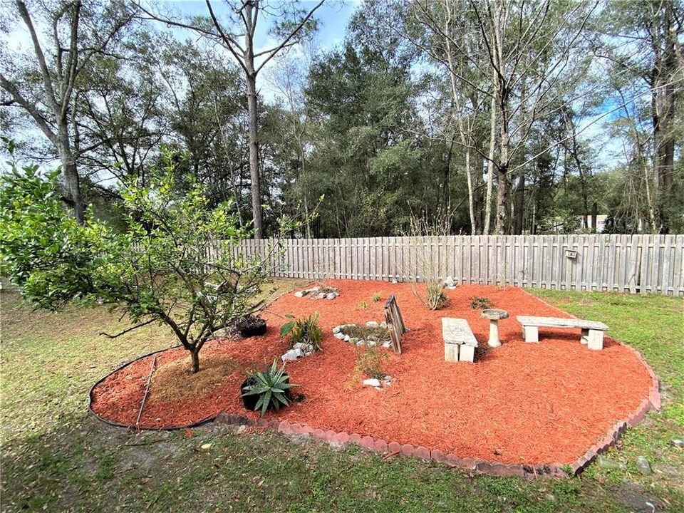 Back yard sitting area