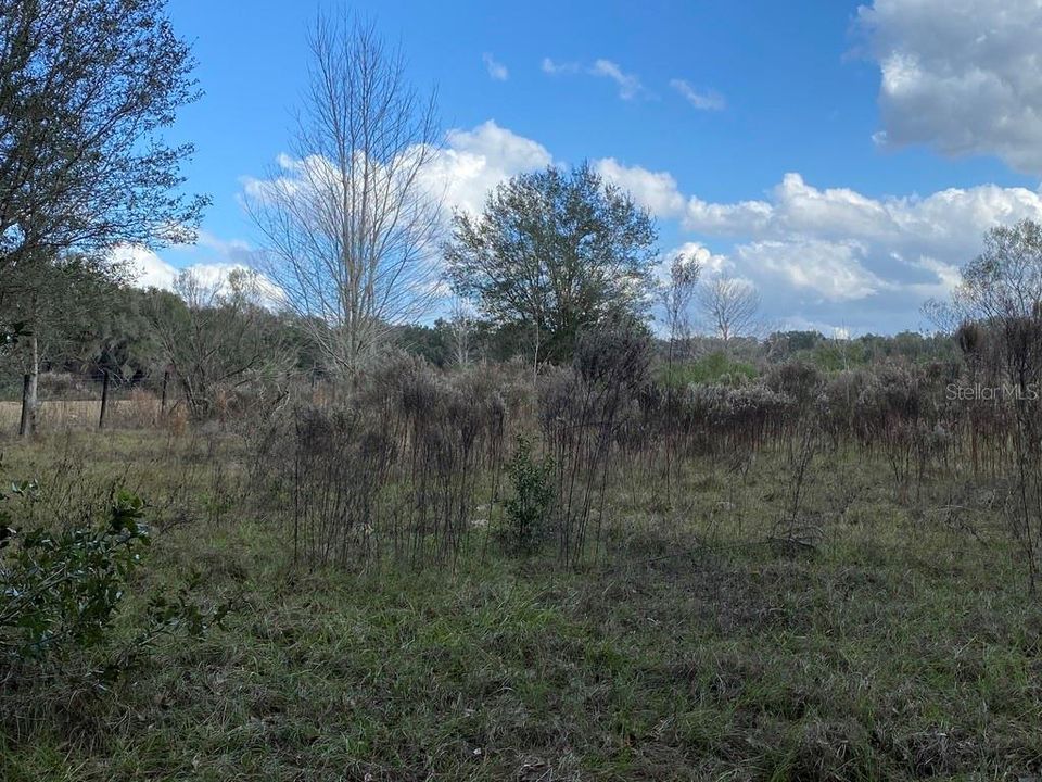 Recently Sold: $55,000 (5.00 acres)