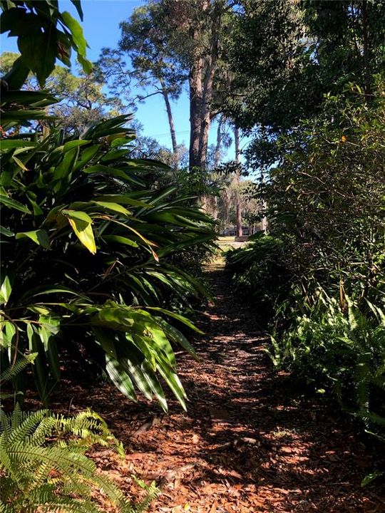 Side pathway view of the golf course, in between tropical plants