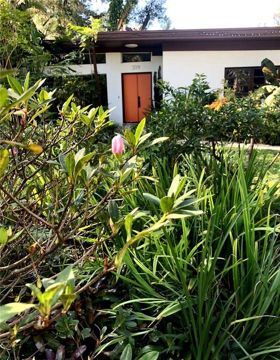 Lush plants surround the property, providing privacy
