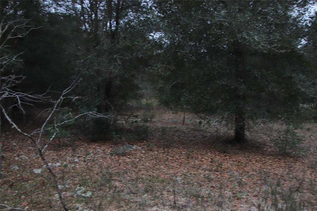 Vendido Recientemente: $45,900 (7.50 acres)