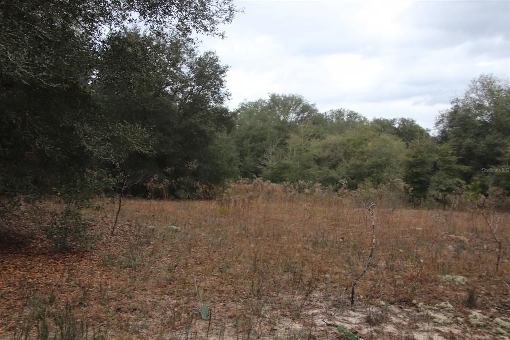 Recently Sold: $45,900 (7.50 acres)