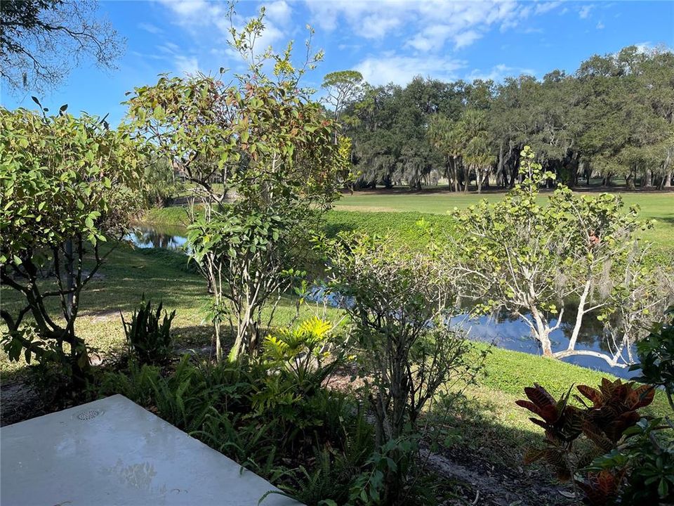 Rear View from Open Rear Porch