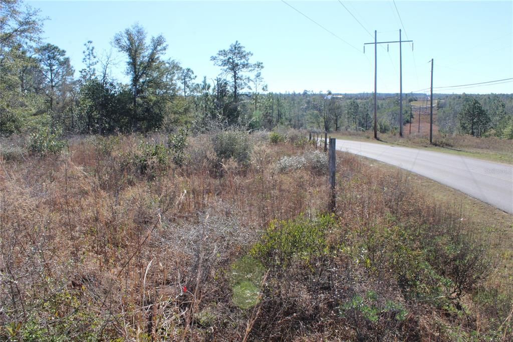 5.3 acres on paved road with electrical nearby