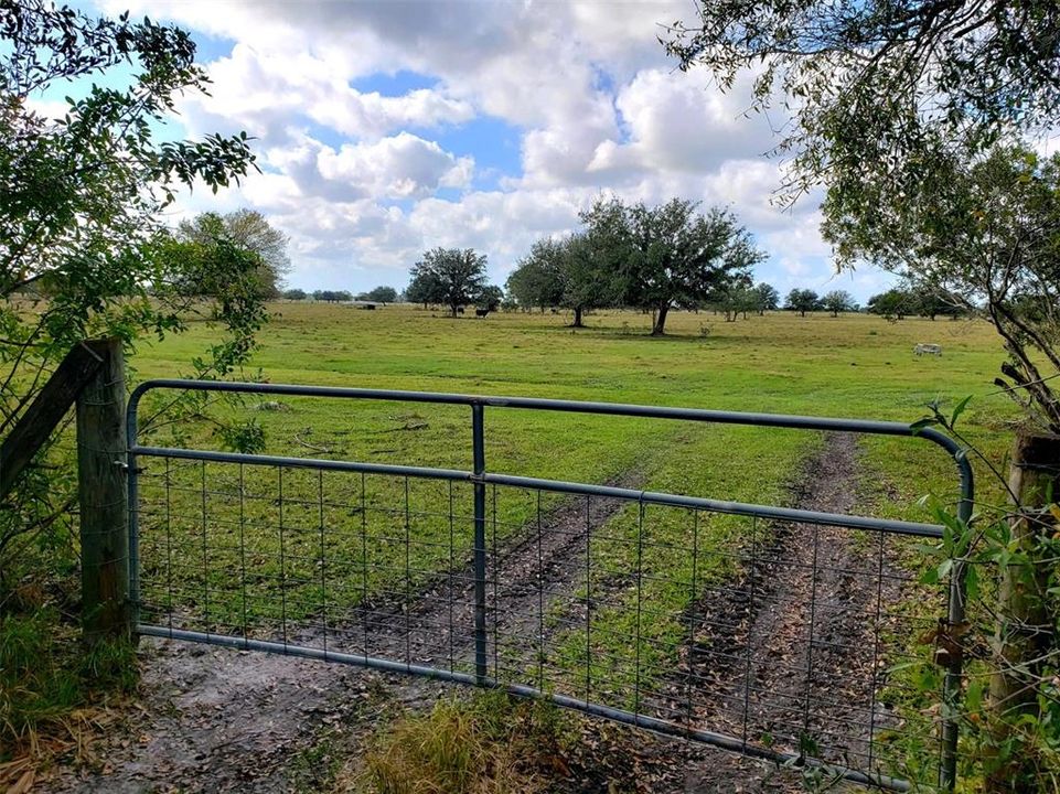 Entry gate from Bronco Rd