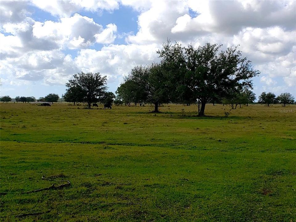 Vendido Recientemente: $71,900 (5.14 acres)