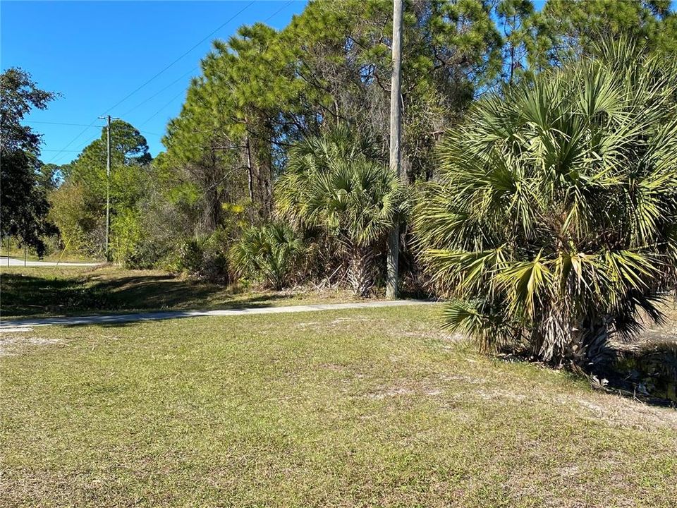 Lot starts to the right of the utility pole.