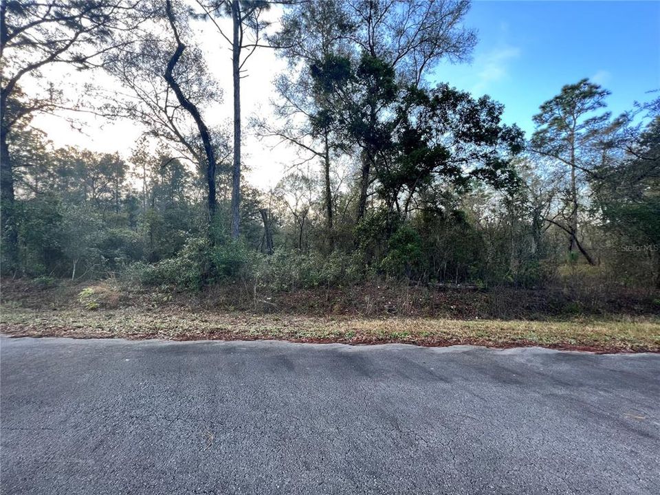 Recently Sold: $8,000 (0.25 acres)