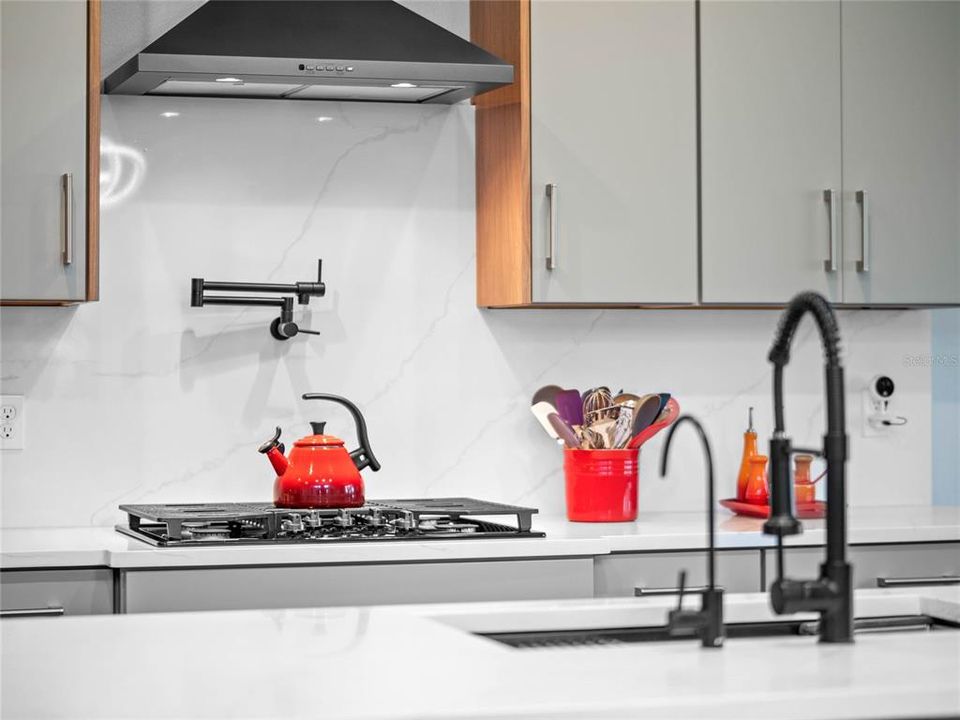 Natural Gas cooktop, hooded vent and pot filler faucet