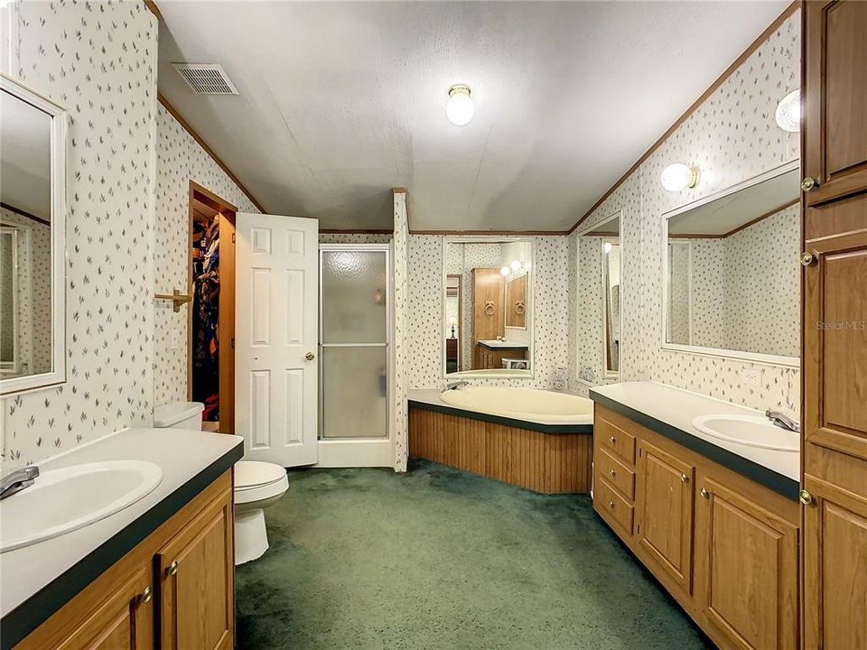 Huge Master BAthroom with Double vanities, Standup Shower with Glass doors, and separate tub.