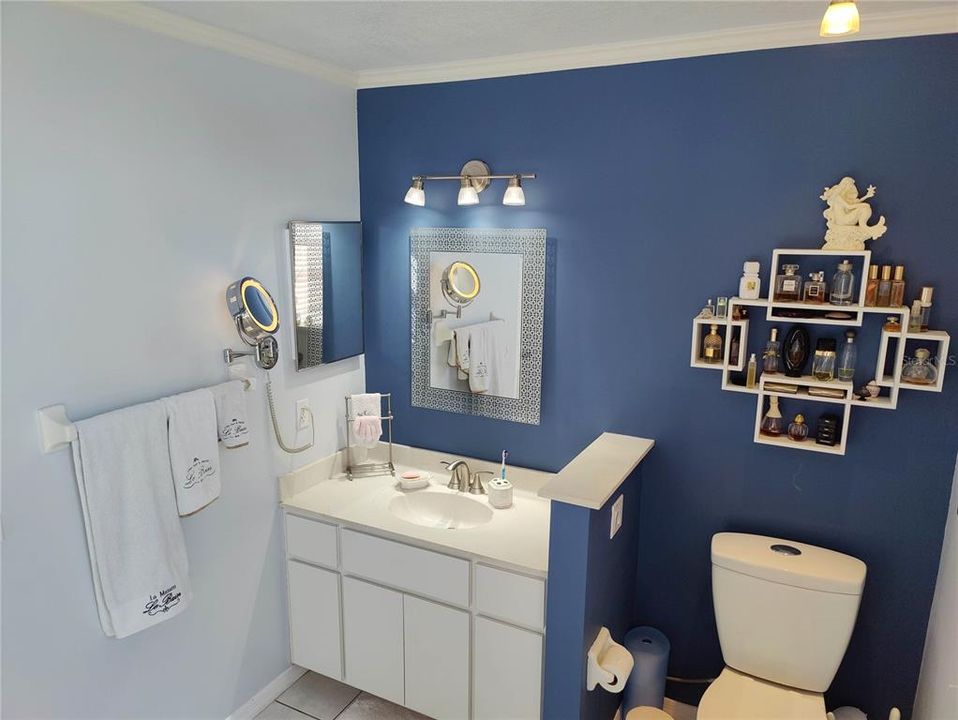 her vanity with medicine cabinet, new decorative lights, solid counter top with integrated shell sink, double flushing toilet with elongated seat