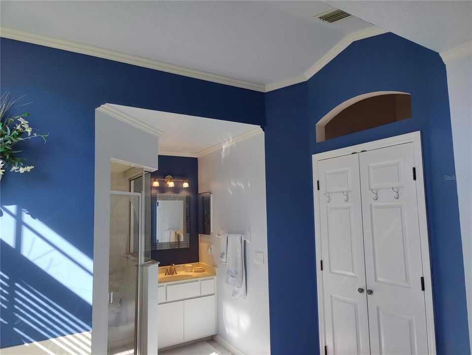 His side vanity with his medicine cabinet, double doors to the master bedroom