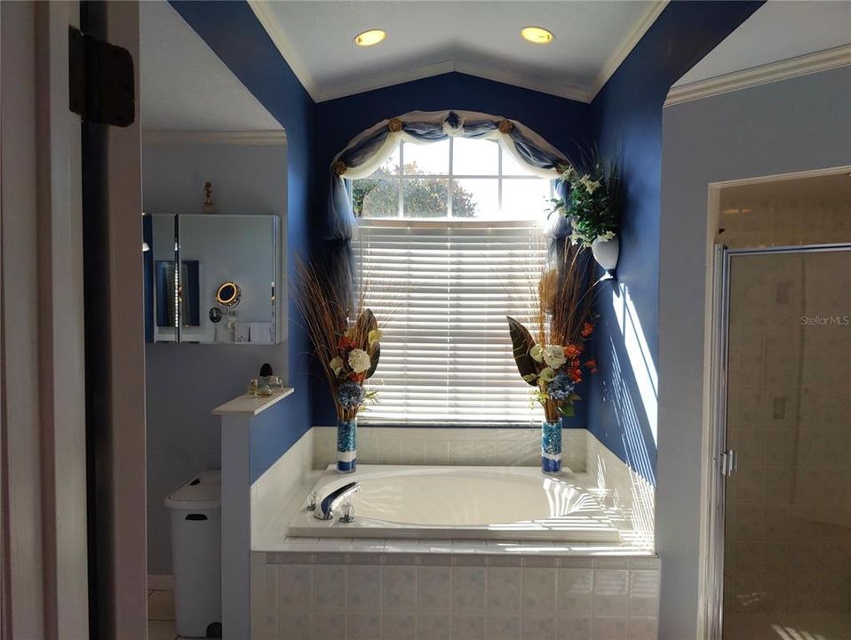 what a great and spacious master bathroom with 2 separated vanities, separated tub and shower, high ceiling, high window. 2 tones painting, crown molding